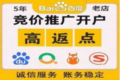 信息流广告公司案例分析：精准投放策略解析